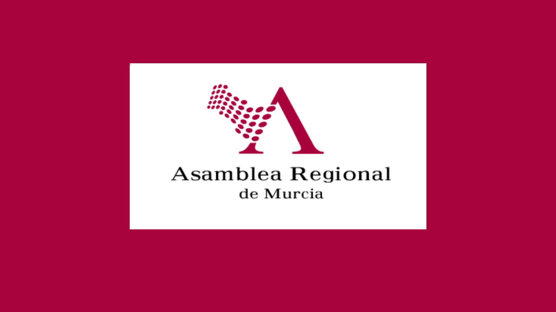 Comparecencia de la decana del COPRM, Pilar Martín, ante la Comisión Especial de Estudio sobre Infancia y Adolescencia 